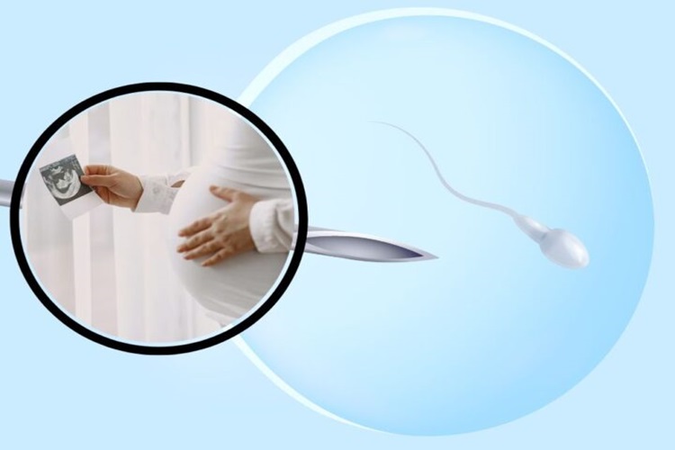 best ivf centres and clinics in gurgaon
