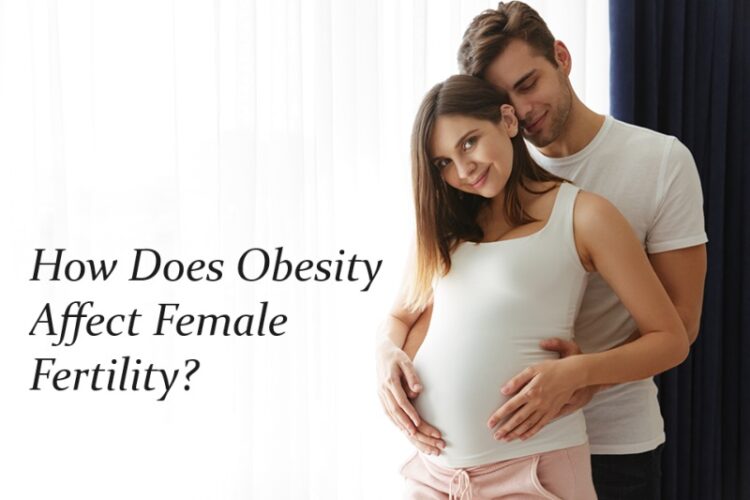 How Does Obesity Affect Female Fertility